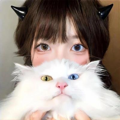 厨神特工开局一把杀猪刀